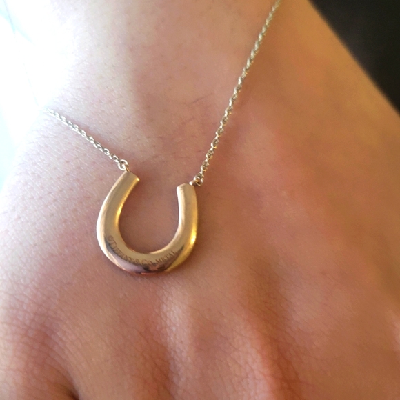 Tiffany & Co 1837 Rubedo Metal &925 Sterling silver Necklace 16" - Picture 17 of 17